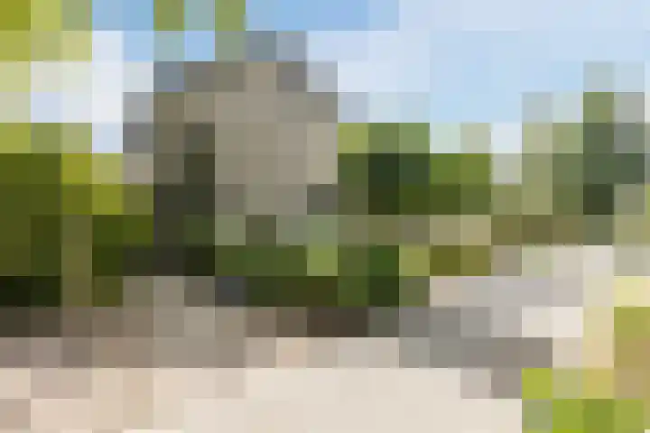 Kruithoorn 23 Gilze thumbnail 5