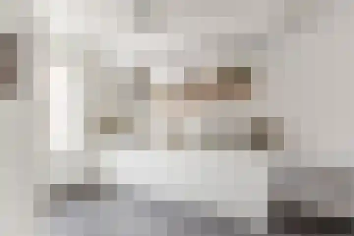 Kruithoorn 5 Gilze thumbnail 12