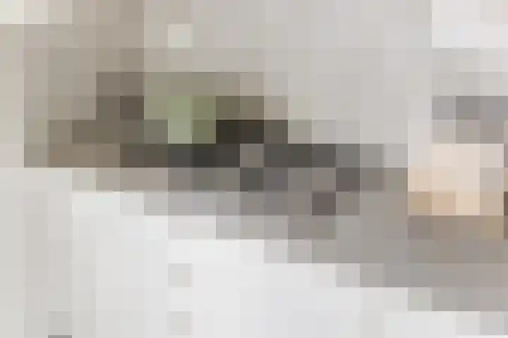 Kruithoorn 5 Gilze thumbnail 13