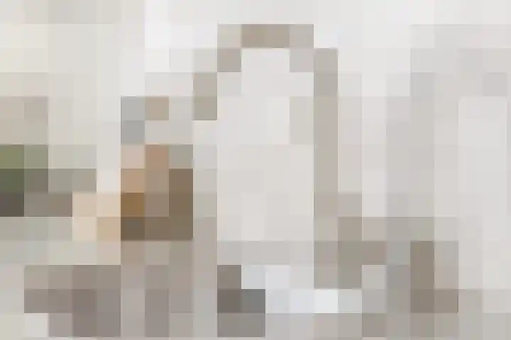 Kruithoorn 5 Gilze thumbnail 14