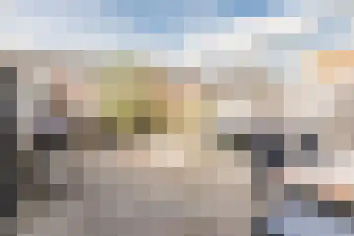 Kruithoorn 5 Gilze thumbnail 16