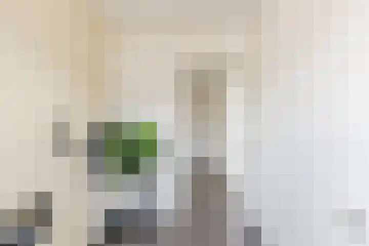 Kruithoorn 5 Gilze thumbnail 22