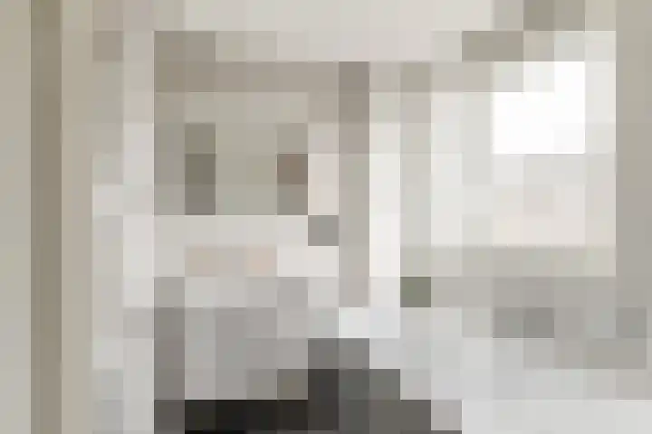 Kruithoorn 5 Gilze thumbnail 25