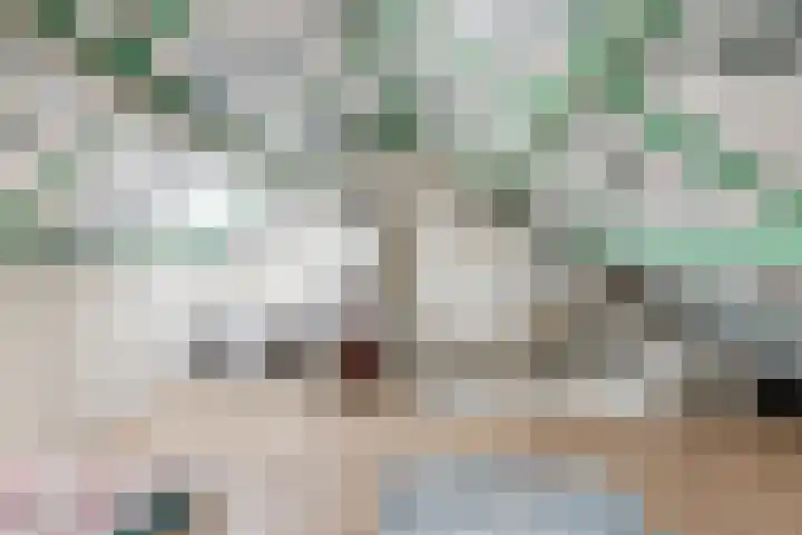 Kruithoorn 5 Gilze thumbnail 30