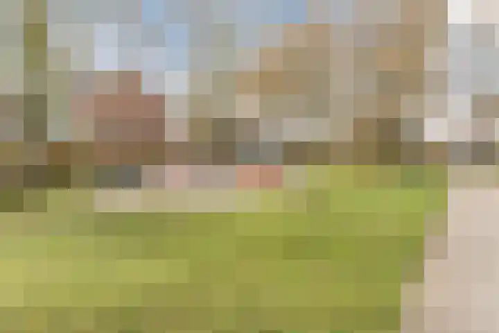 Kruithoorn 5 Gilze thumbnail 36