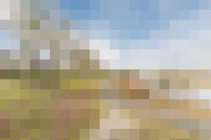 Kruithoorn 5 Gilze thumbnail 37