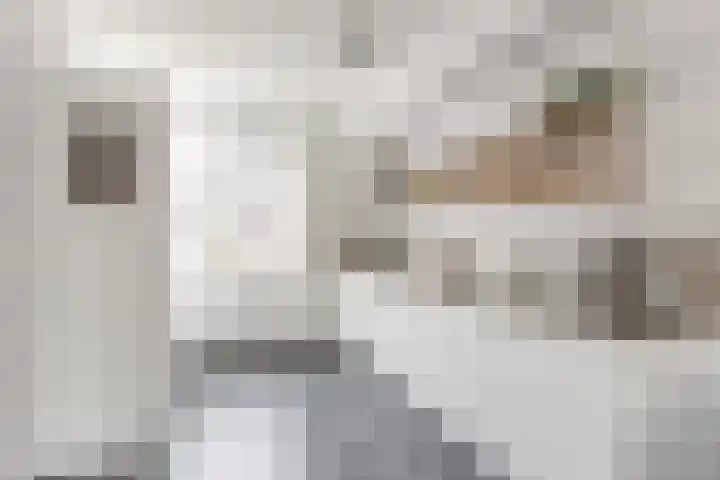 Kruithoorn 5 Gilze thumbnail 4