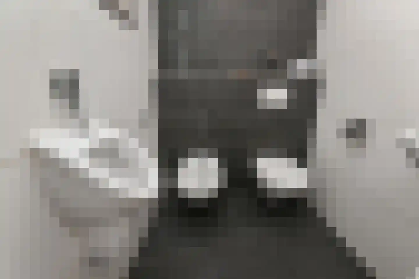 Kruithuis 10 Schiedam thumbnail 28