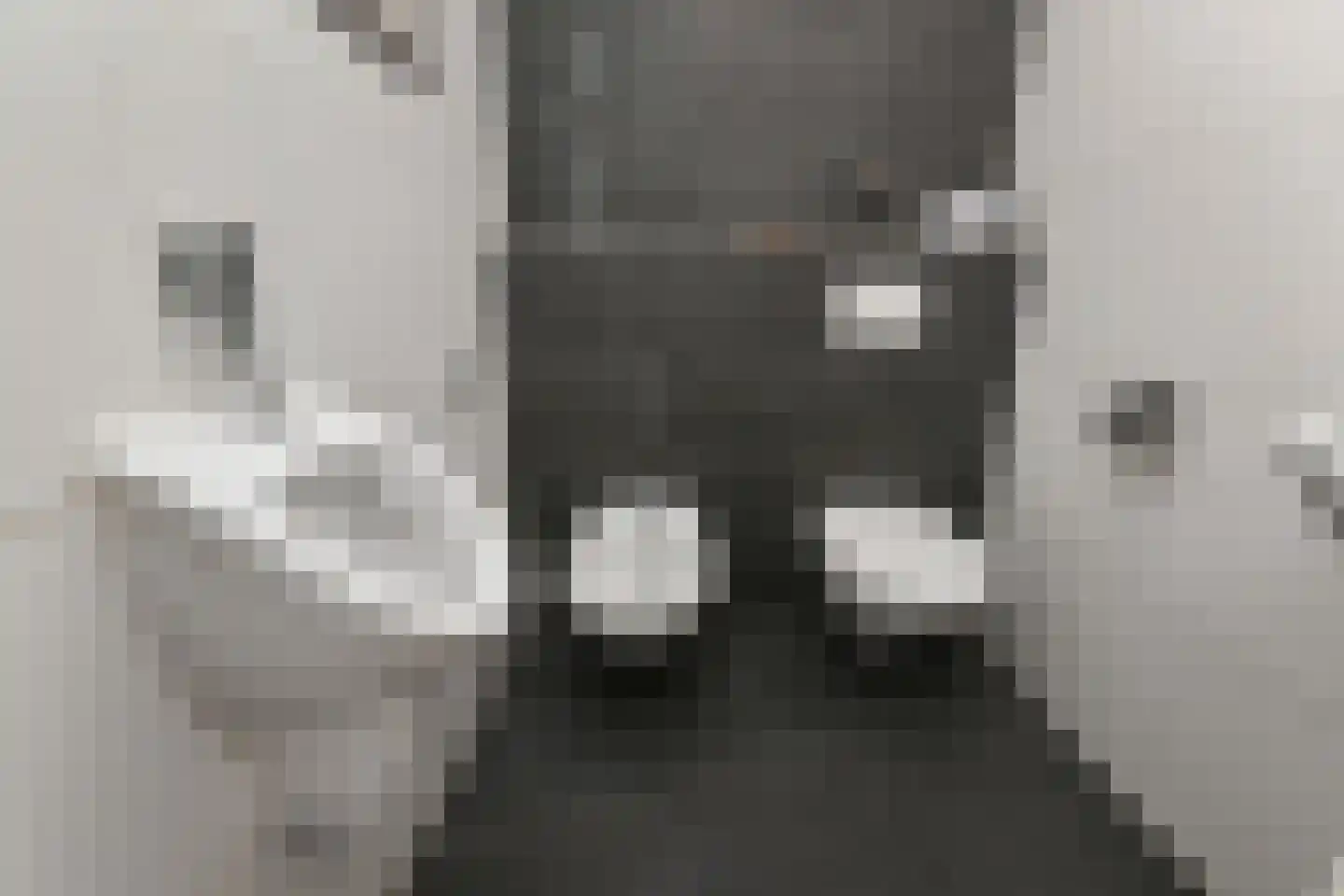 Kruithuis 10 Schiedam thumbnail 29