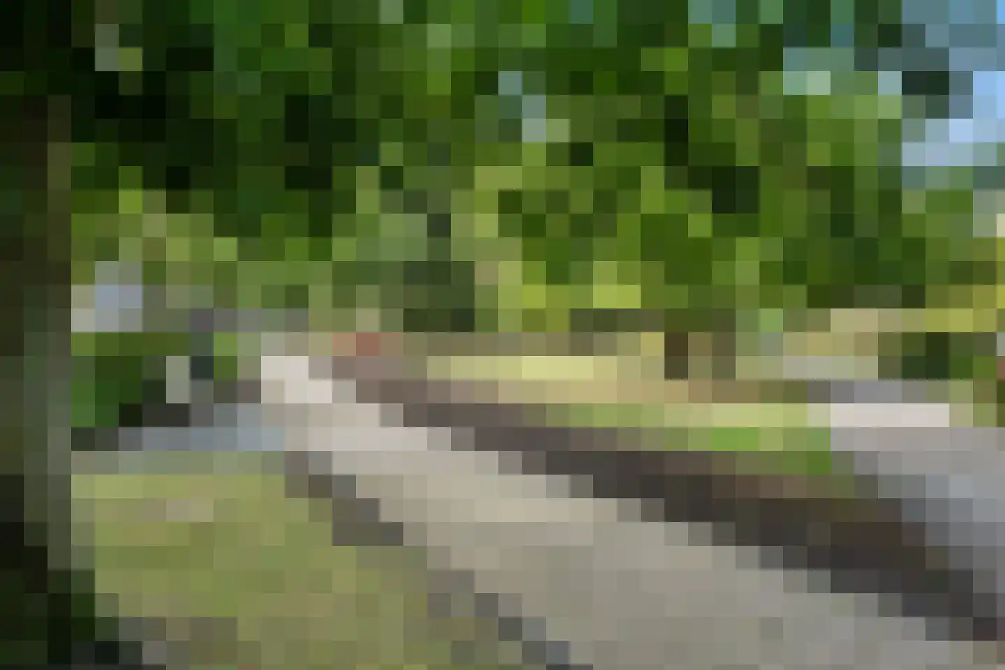 Kruithuis 15 Schiedam thumbnail 40