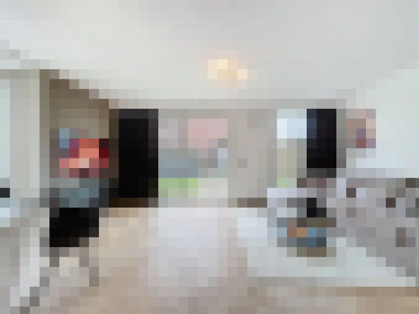 Kruithuisstraat 53 IJzendijke thumbnail 4