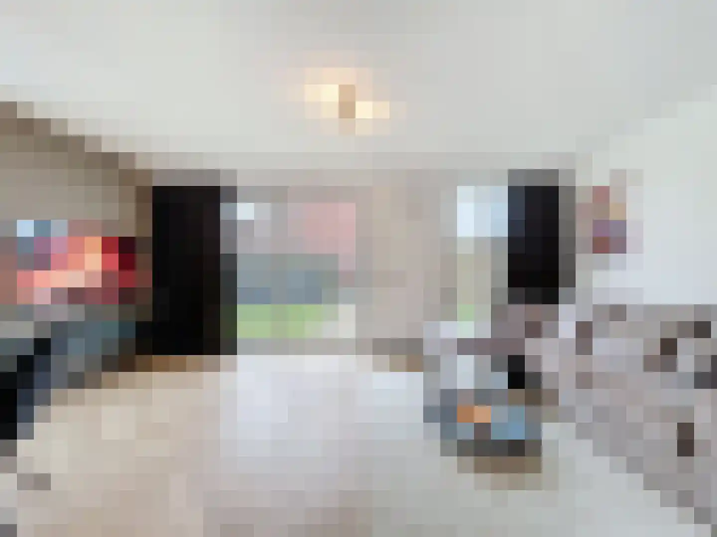 Kruithuisstraat 53 IJzendijke thumbnail 5