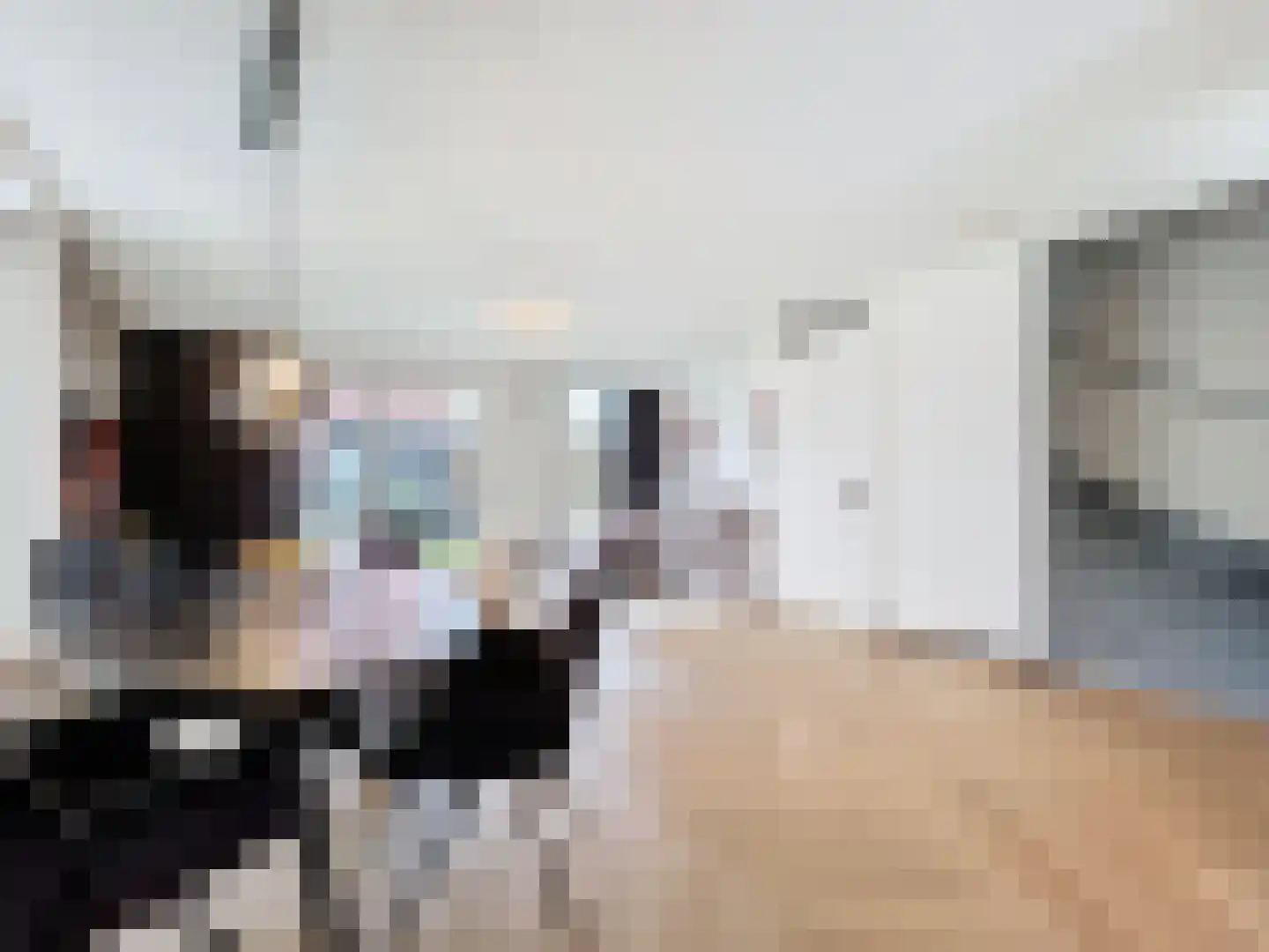 Kruithuisstraat 53 IJzendijke thumbnail 6