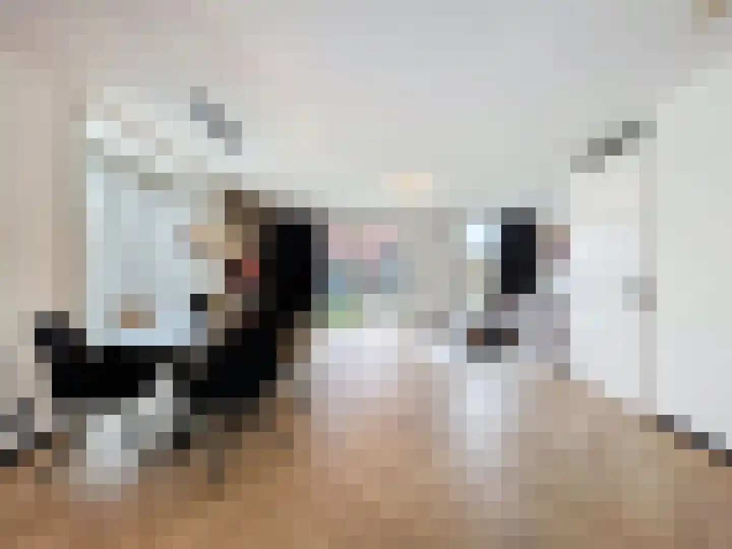 Kruithuisstraat 53 IJzendijke thumbnail 7