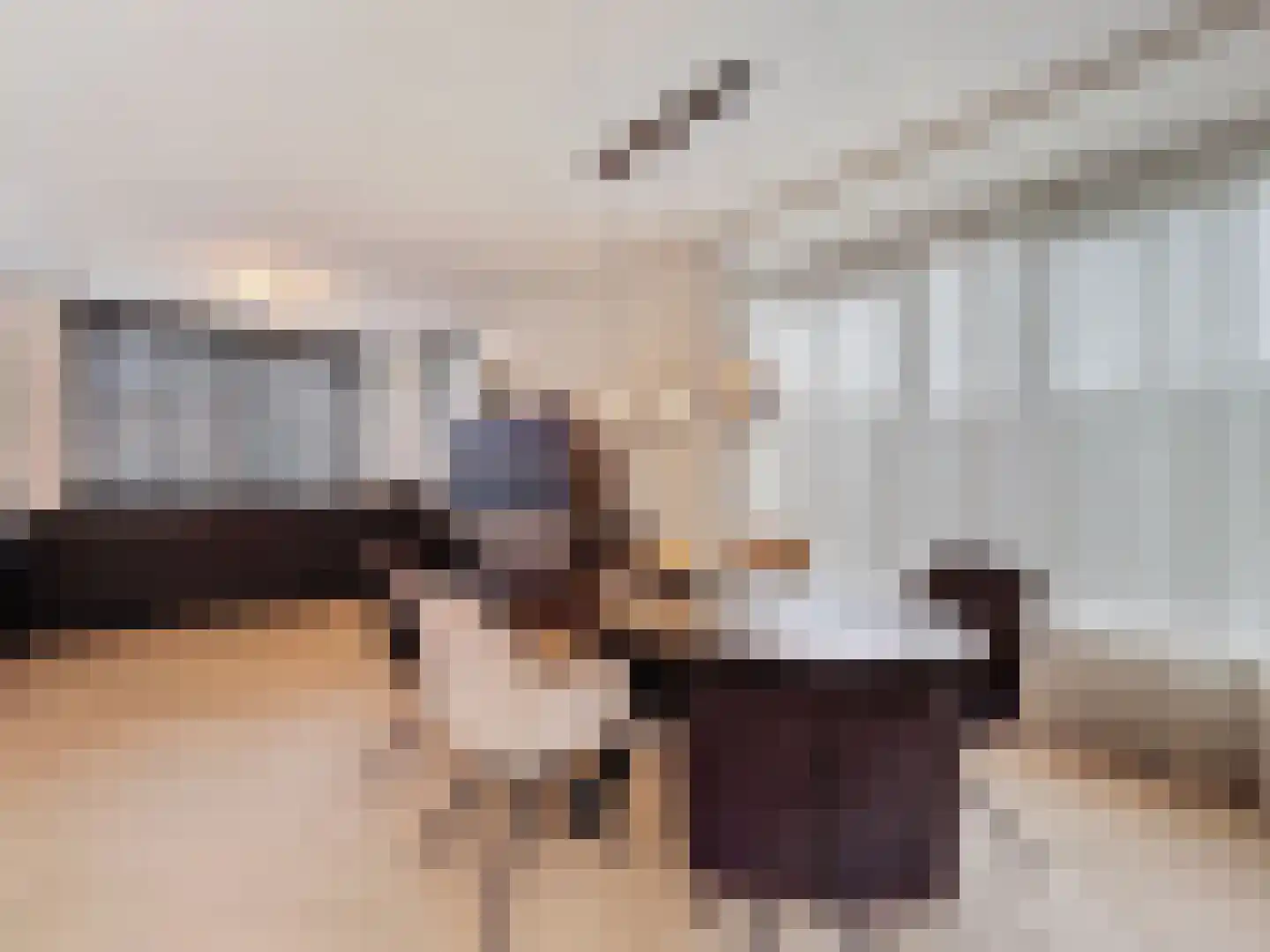 Kruithuisstraat 53 IJzendijke thumbnail 9