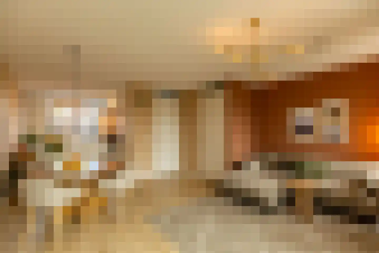 Kruithuisstraat 61 IJzendijke thumbnail 12