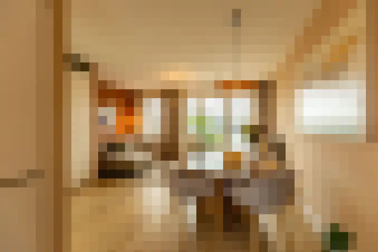 Kruithuisstraat 61 IJzendijke thumbnail 14