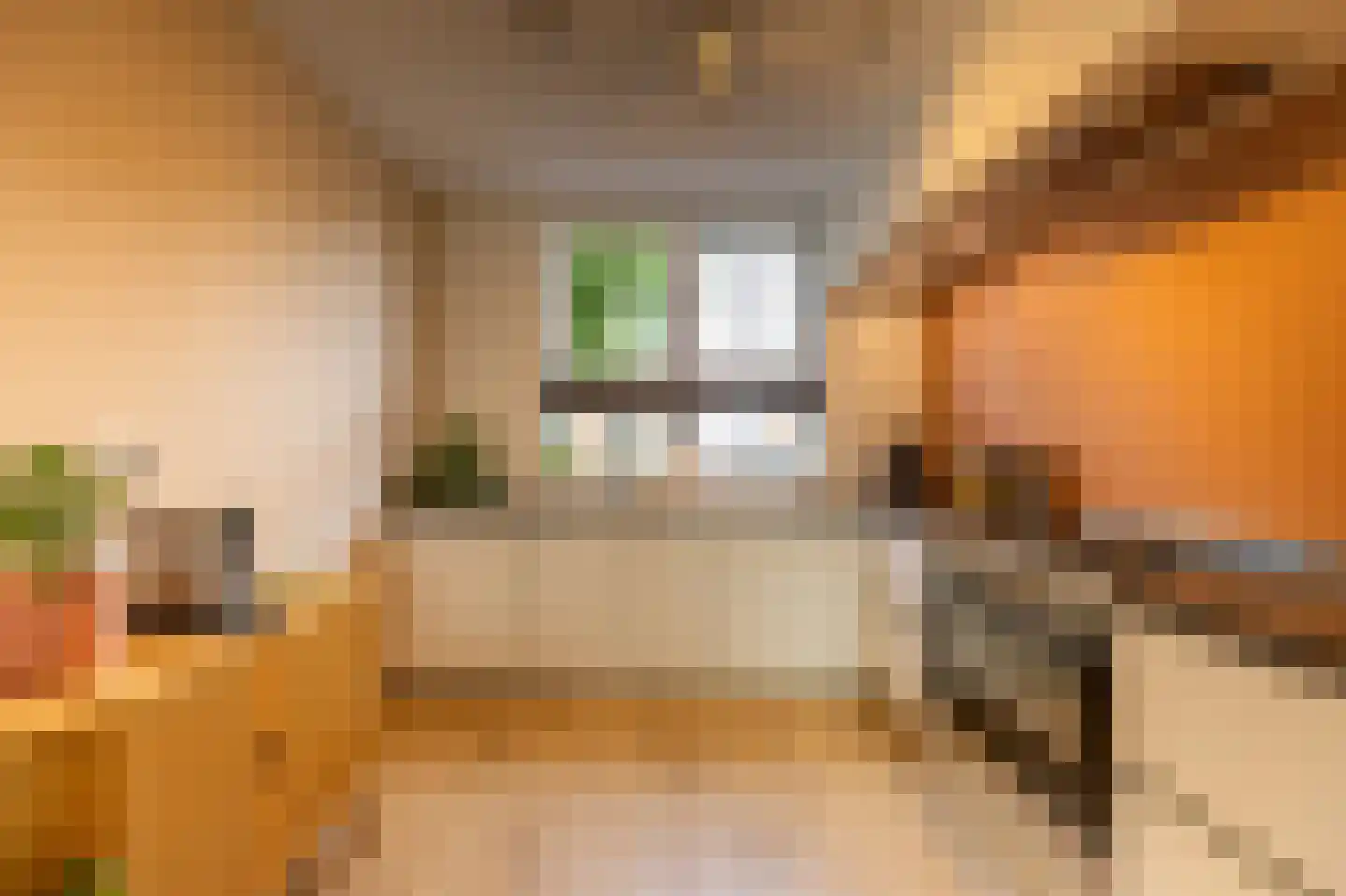 Kruithuisstraat 61 IJzendijke thumbnail 15