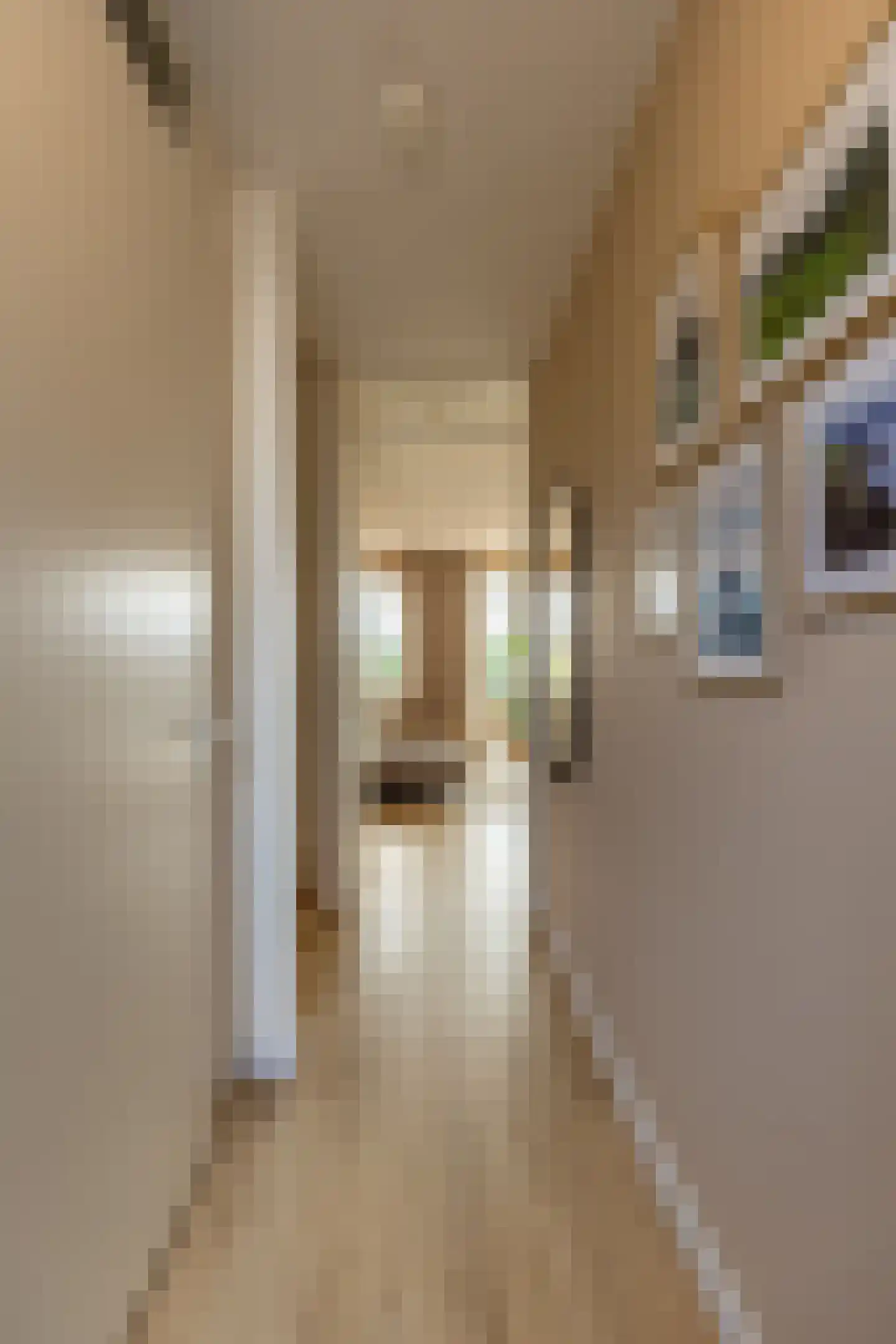 Kruithuisstraat 61 IJzendijke thumbnail 20