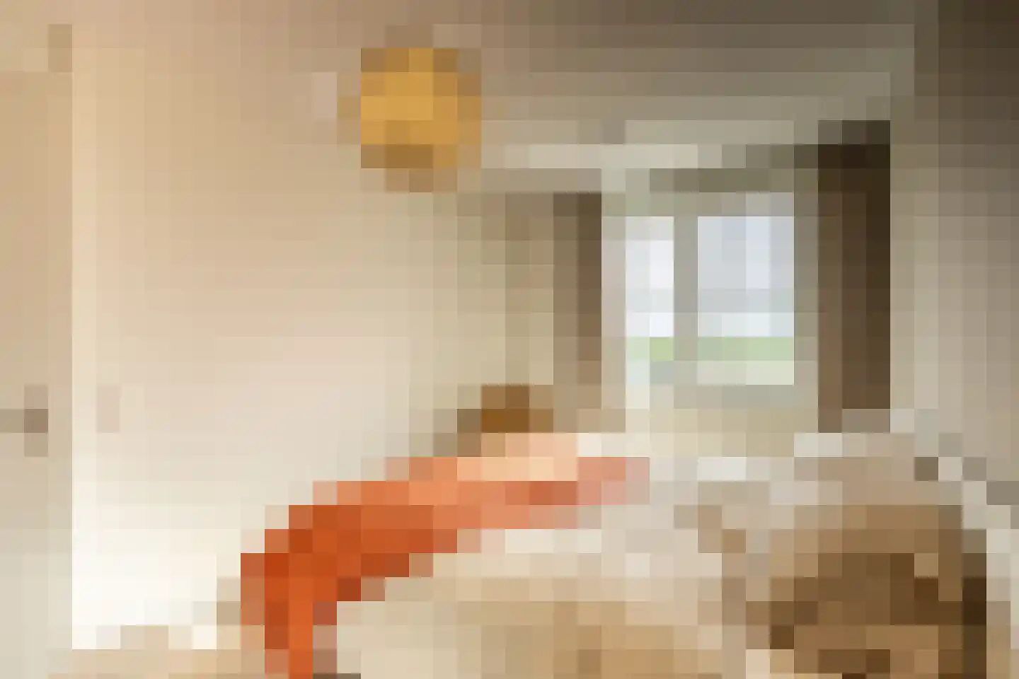 Kruithuisstraat 61 IJzendijke thumbnail 25