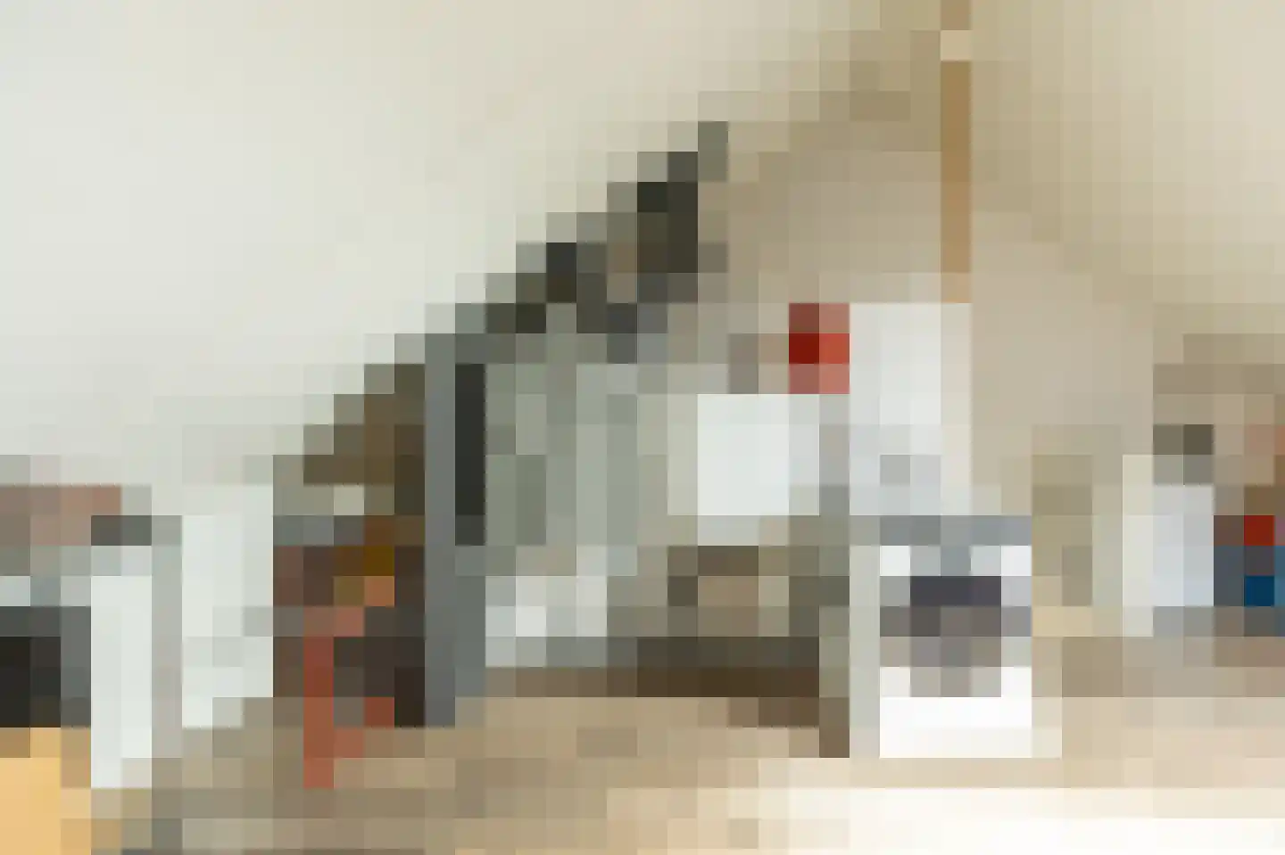 Kruithuisstraat 61 IJzendijke thumbnail 36