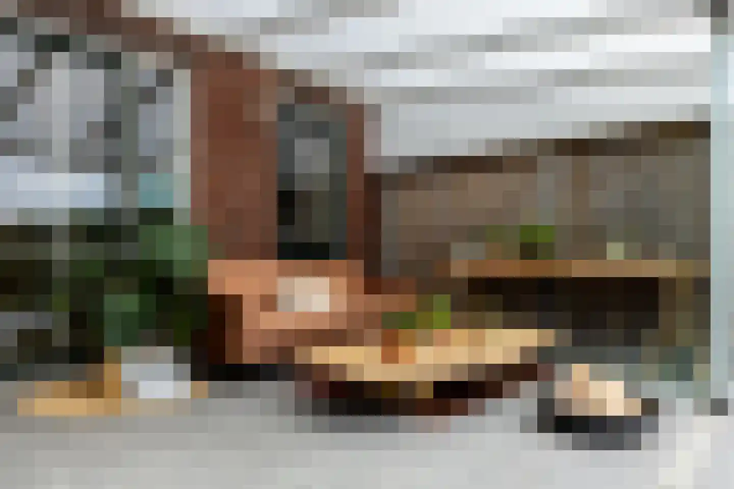 Kruithuisstraat 61 IJzendijke thumbnail 42