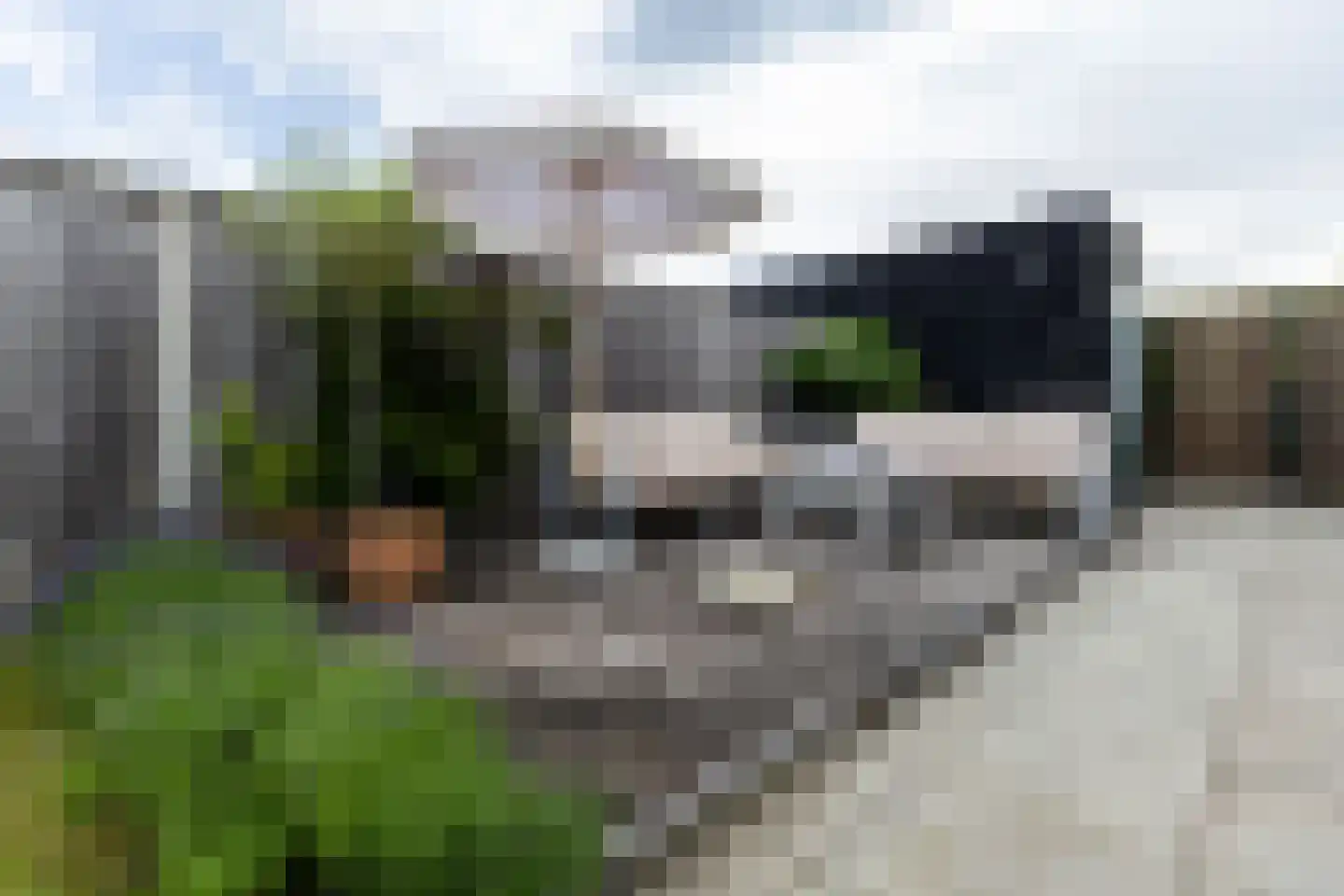 Kruithuisstraat 61 IJzendijke thumbnail 45