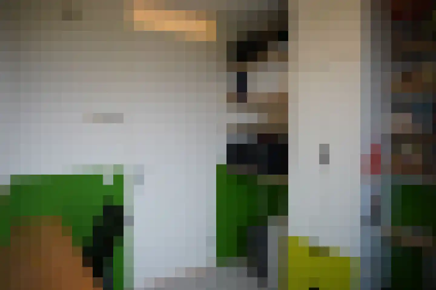 Kruithuisstraat 65 IJzendijke thumbnail 19
