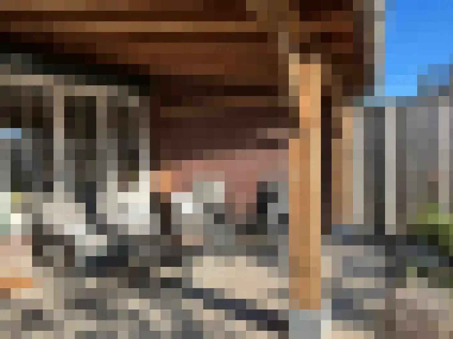 Kruithuisstraat 65 IJzendijke thumbnail 27