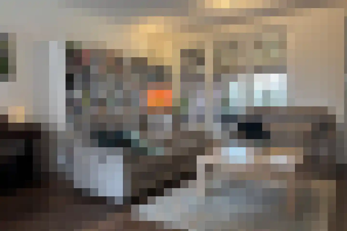Kruithuisstraat 65 IJzendijke thumbnail 6