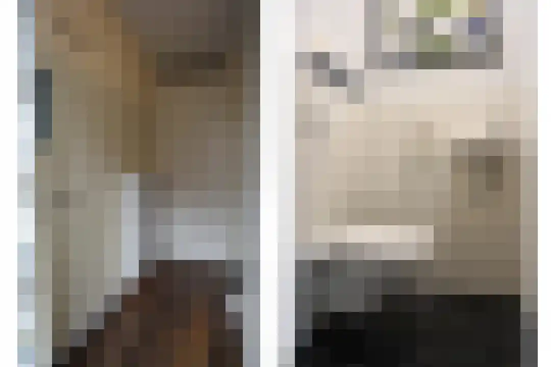 Kruithuisstraat 65 IJzendijke thumbnail 9