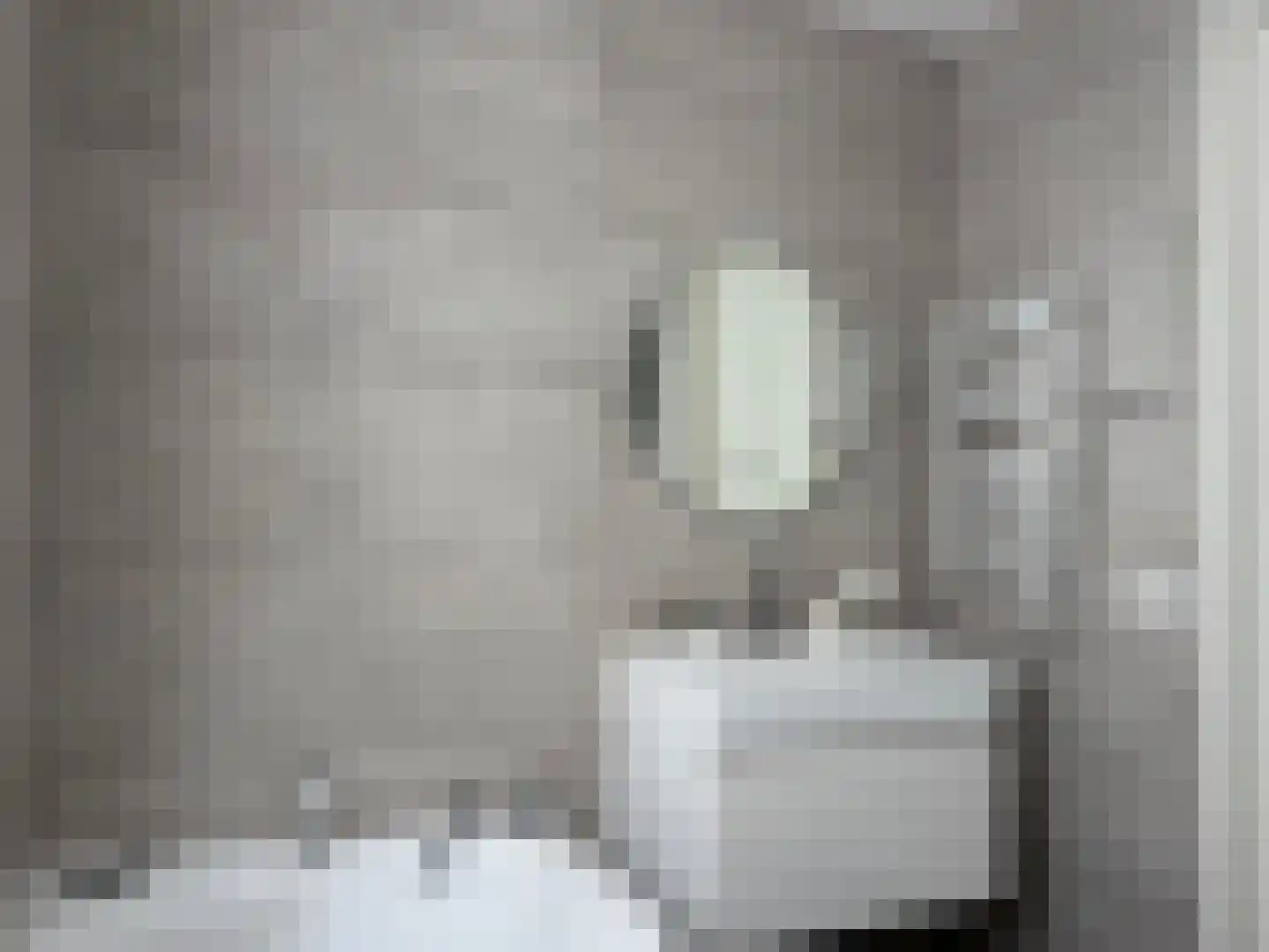 Kruithuisstraat 8 IJzendijke thumbnail 22