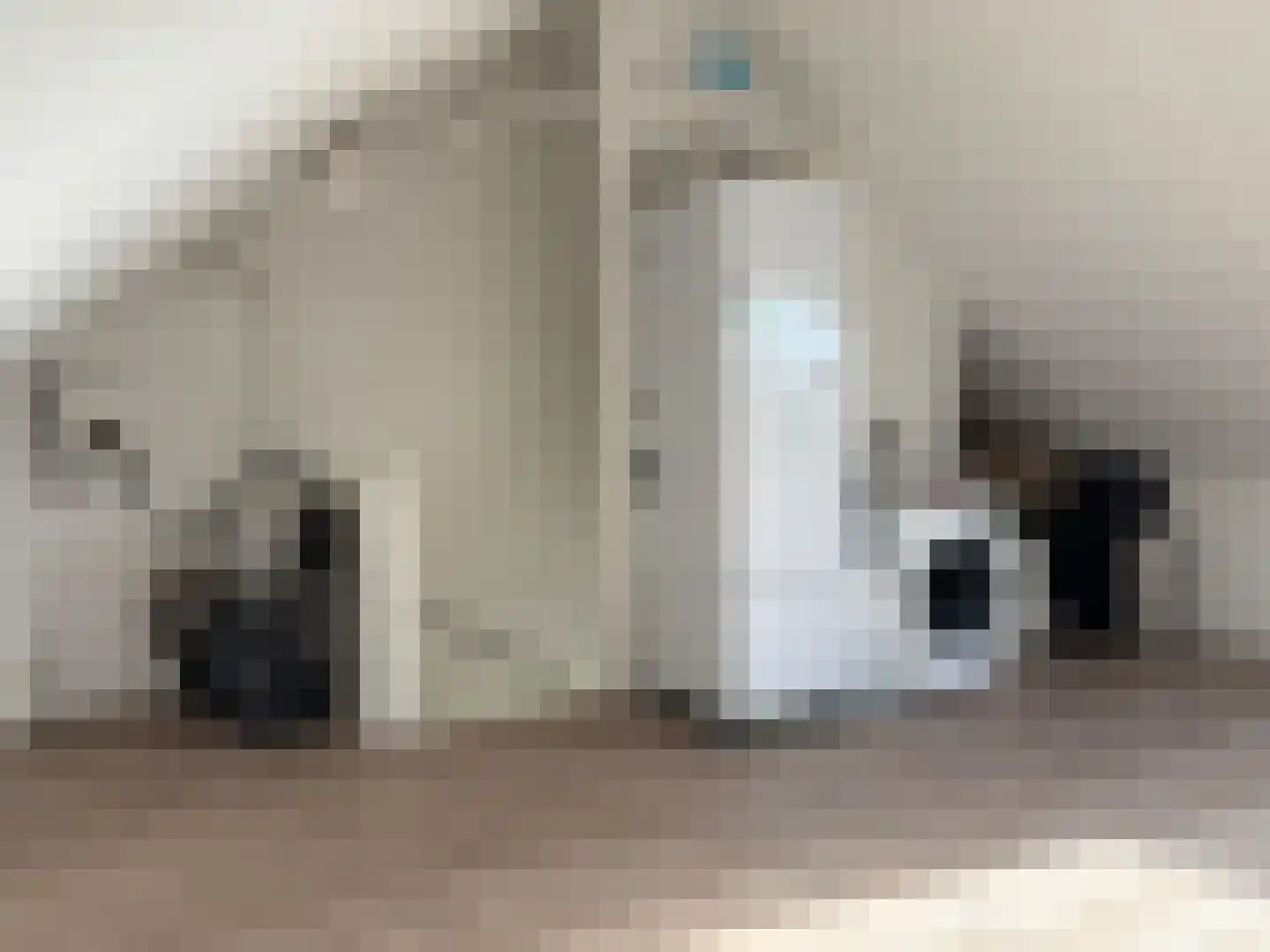 Kruithuisstraat 8 IJzendijke thumbnail 28
