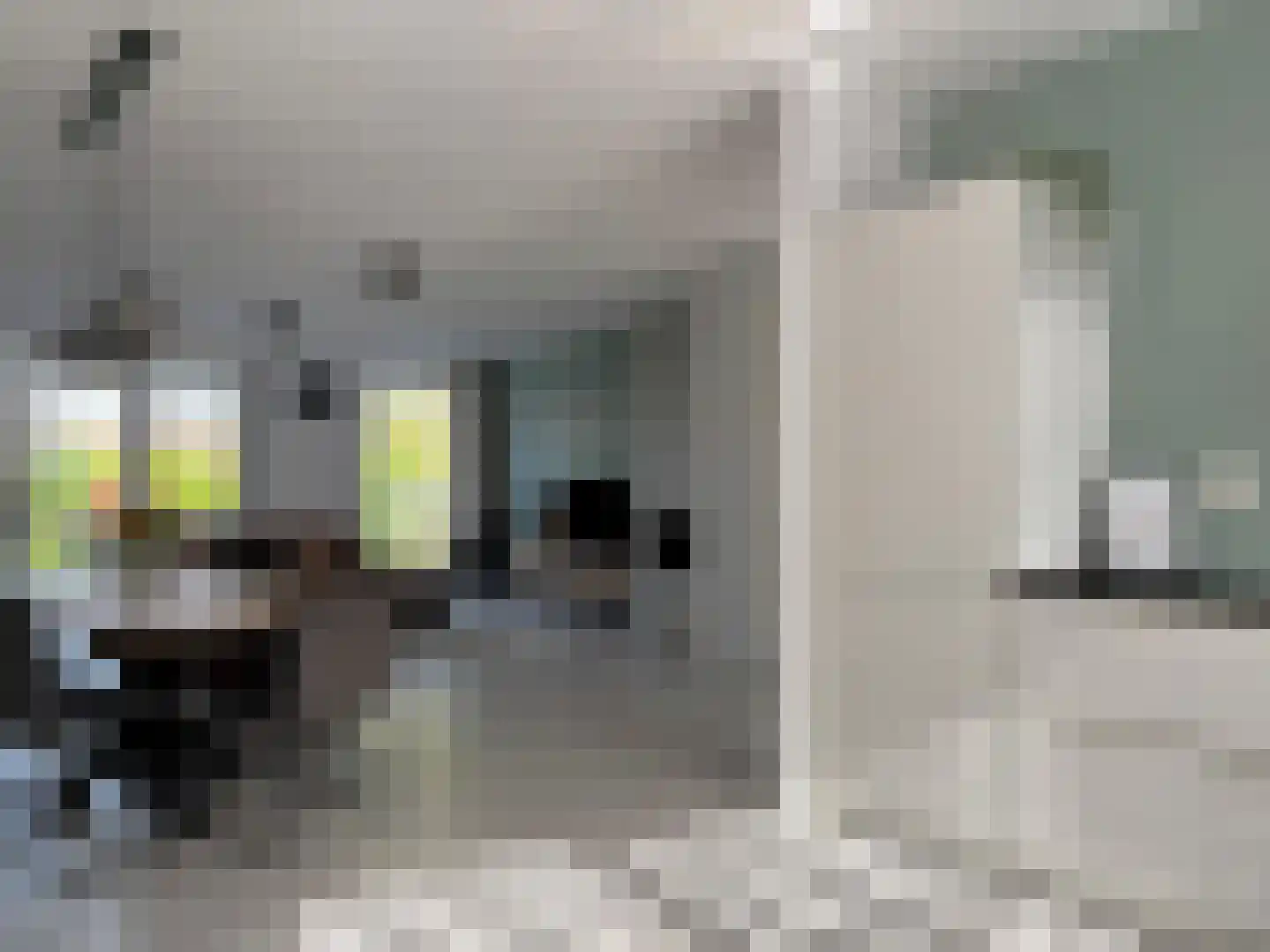 Kruithuisstraat 8 IJzendijke thumbnail 9