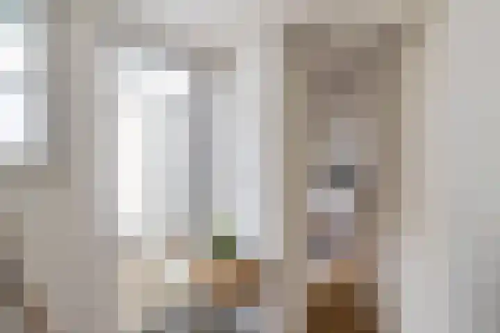 Kruitlaan 37 Groningen thumbnail 15