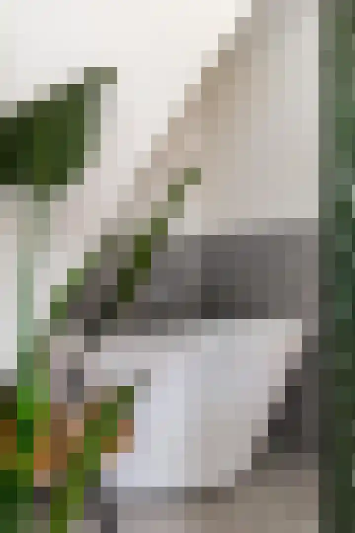 Kruitlaan 37 Groningen thumbnail 9