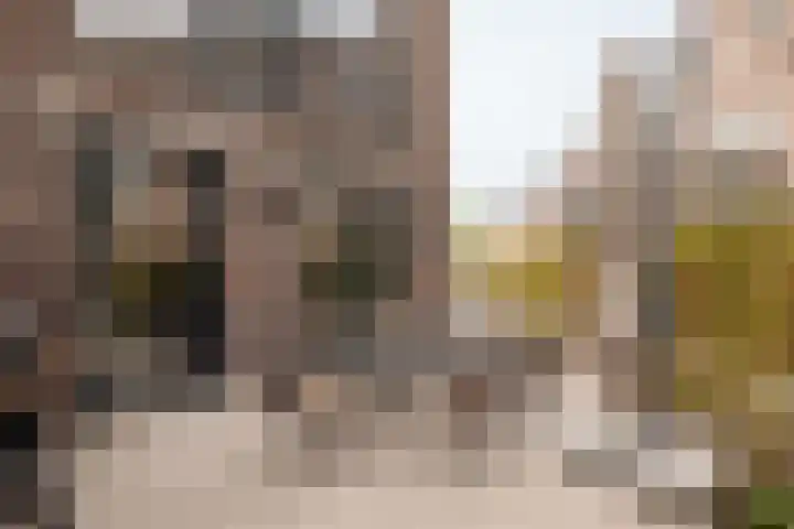 Kruitmolen 116 Muiden thumbnail 12