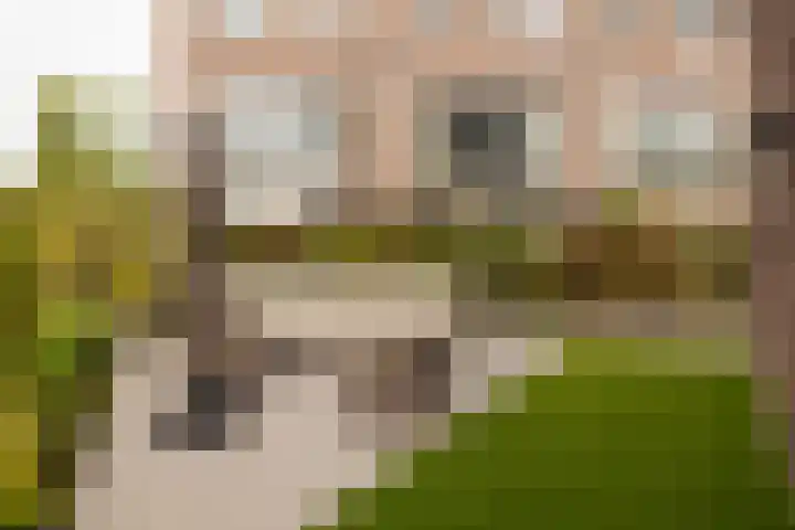 Kruitmolen 116 Muiden thumbnail 13