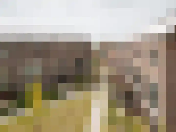 Kruitmolen 116 Muiden thumbnail 52