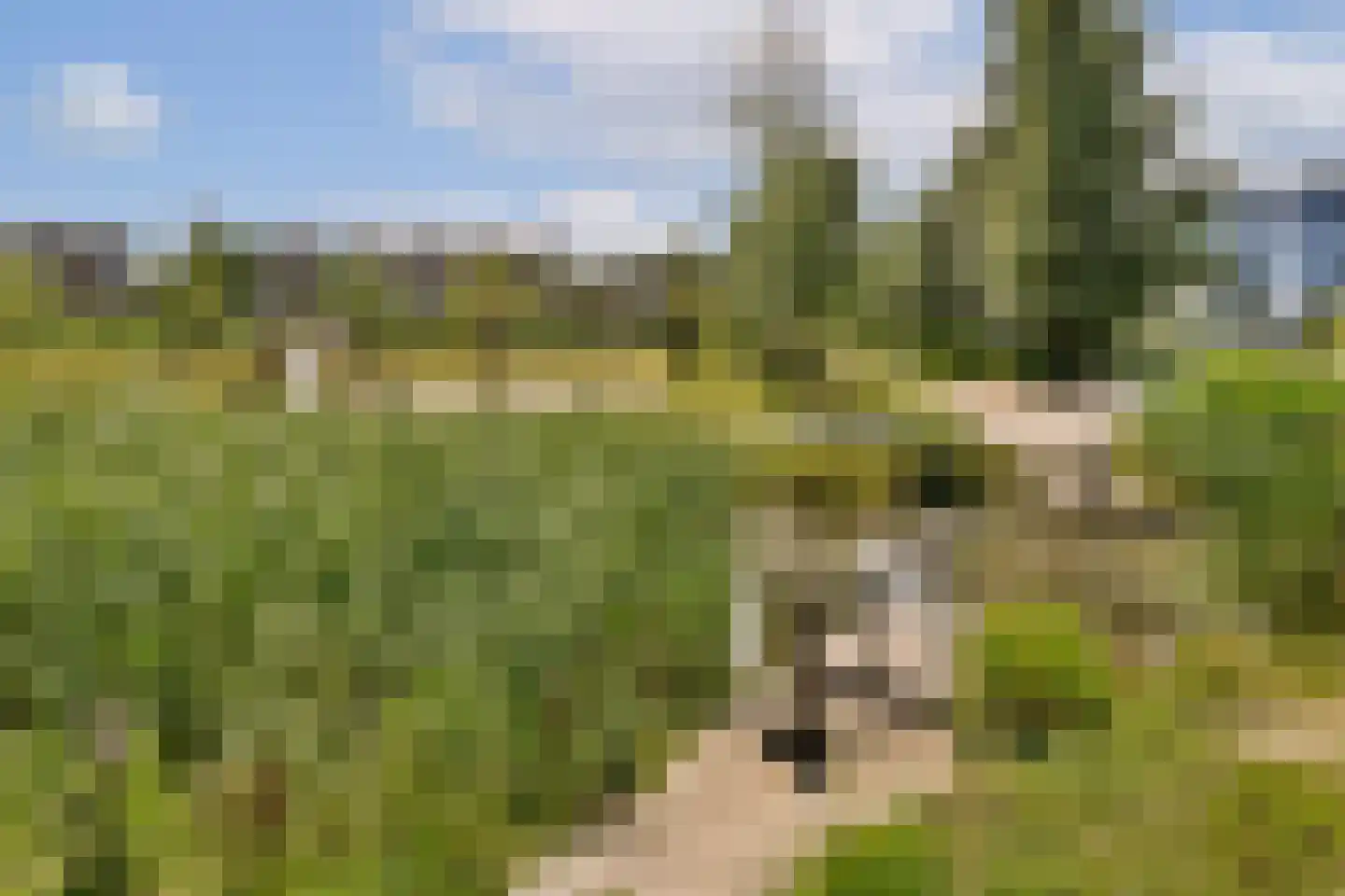 Kruitmolen 20 Muiden thumbnail 24