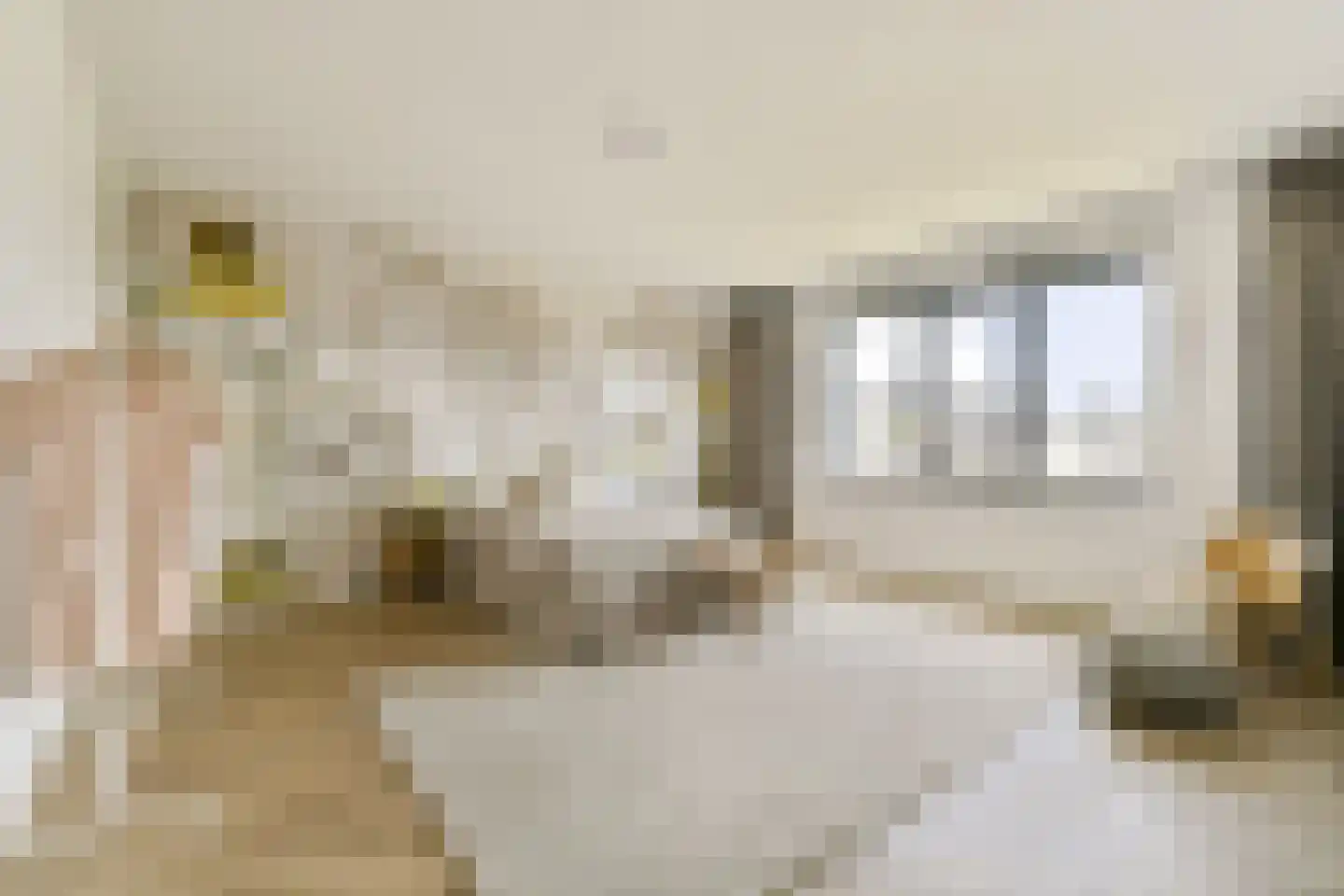 Kruitmolen 20 Muiden thumbnail 5