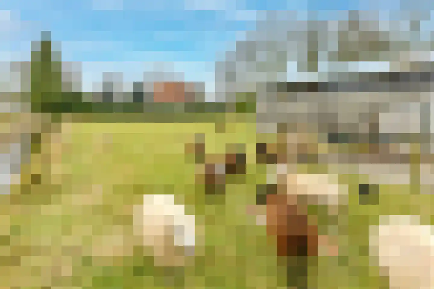 Kruitmolen 23 Amstelveen thumbnail 13