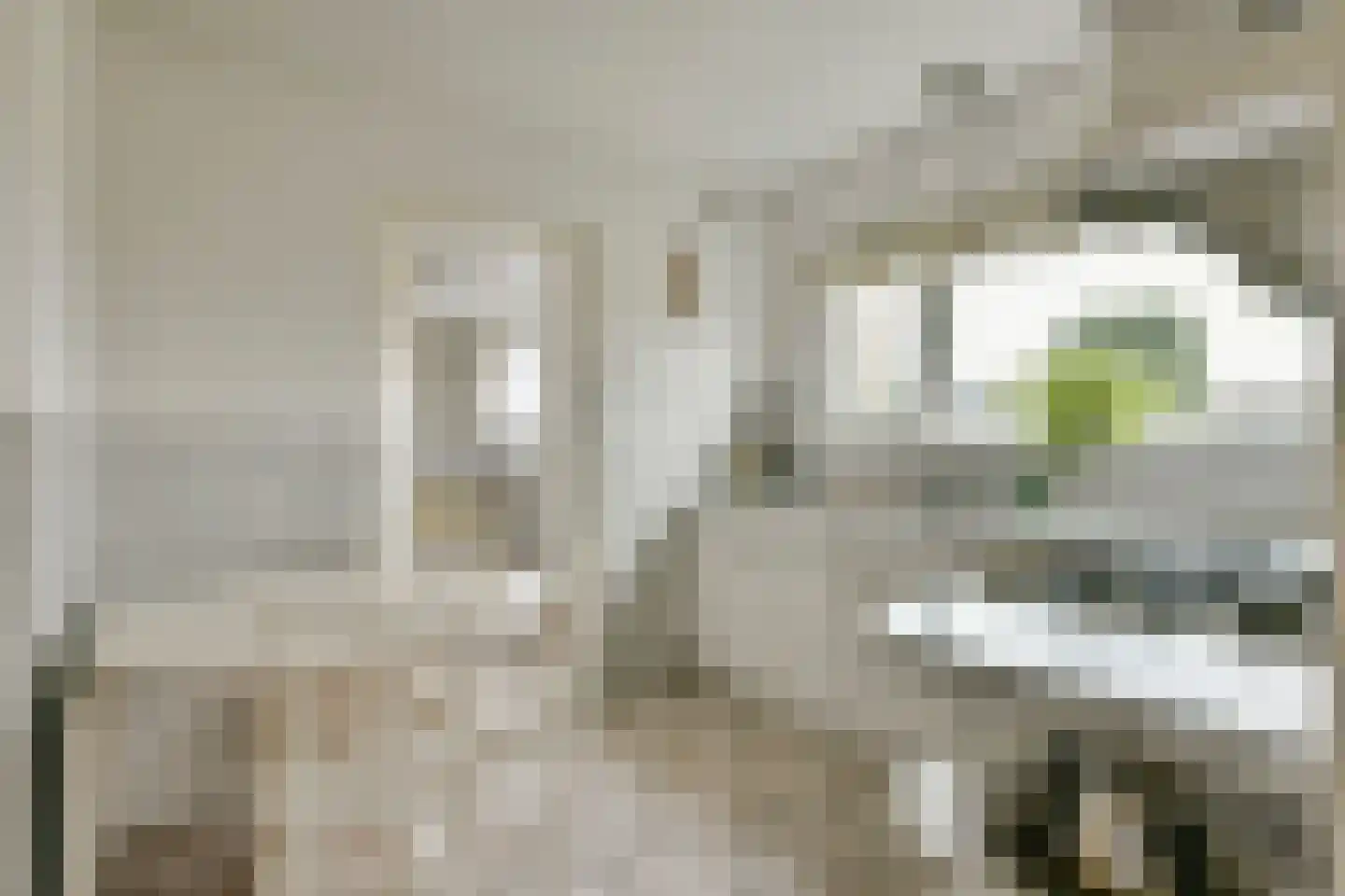 Kruitmolen 23 Amstelveen thumbnail 17
