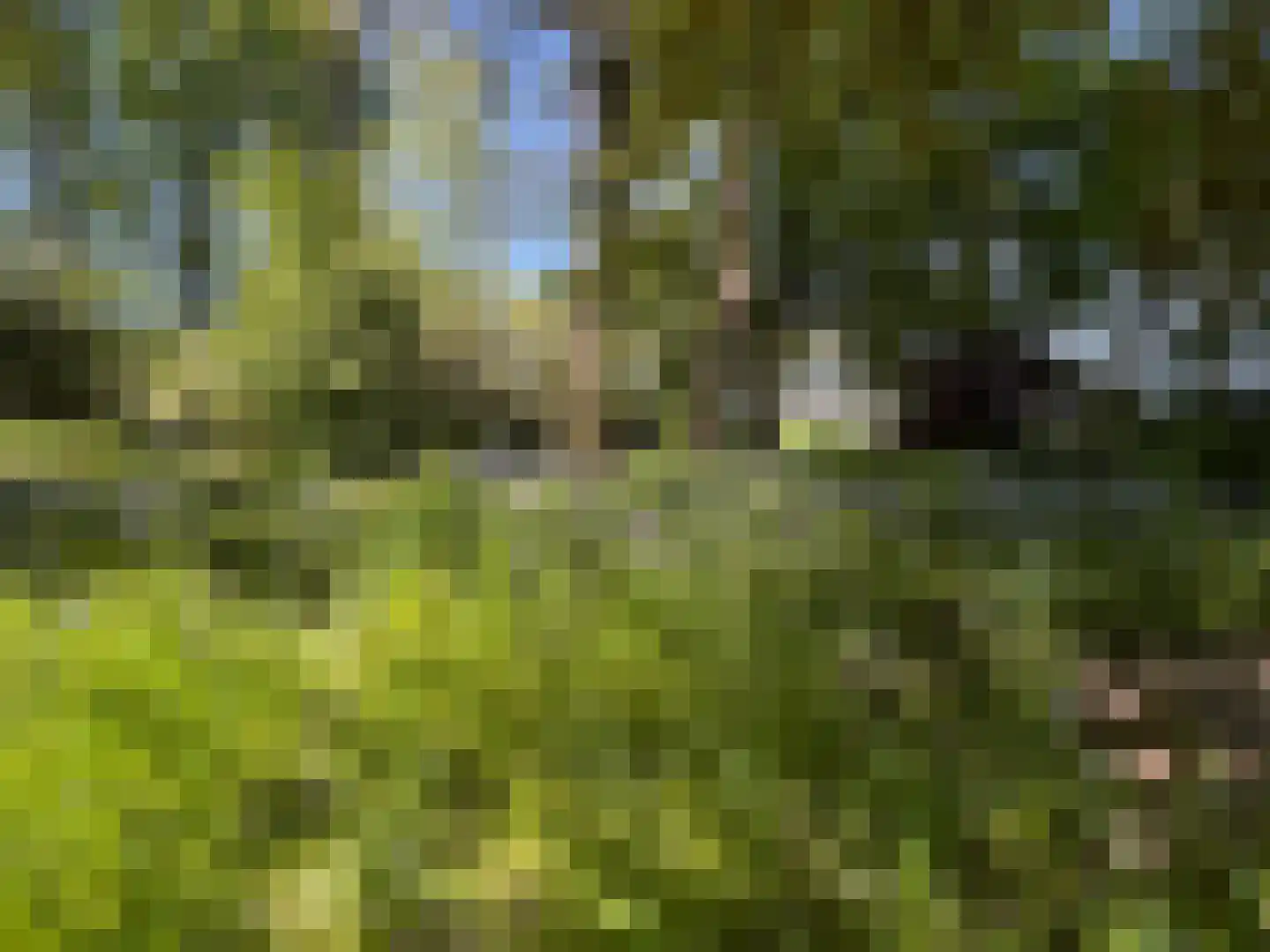 Kruitmolen 23 Amstelveen thumbnail 24