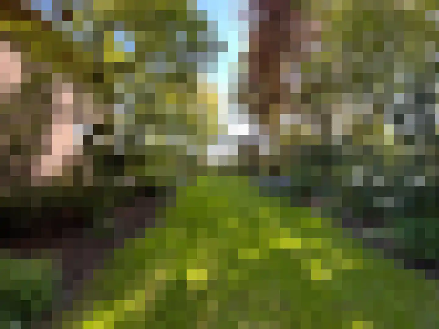 Kruitmolen 23 Amstelveen thumbnail 5