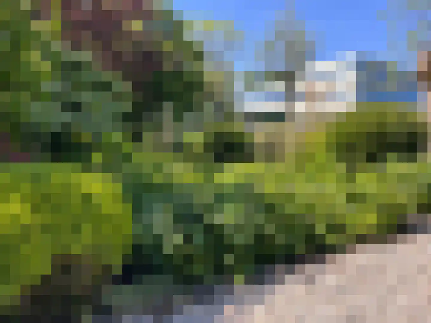 Kruitmolen 23 Amstelveen thumbnail 8