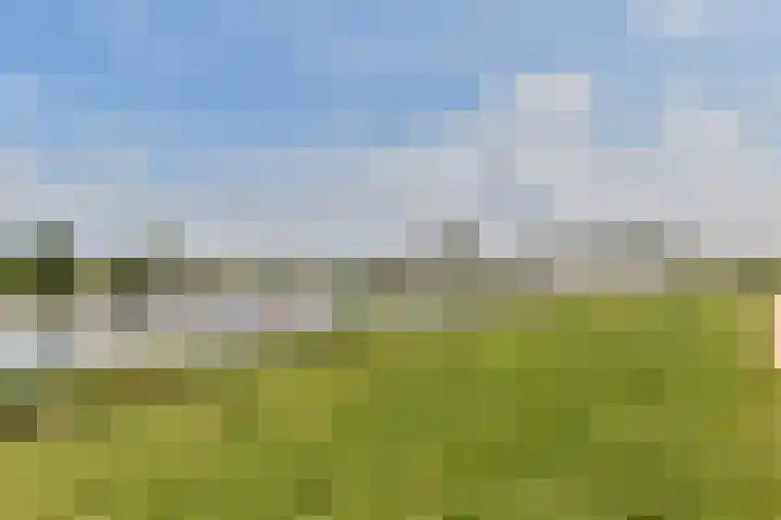 Kruitmolen 29 Muiden thumbnail 35