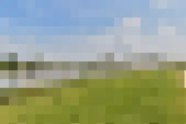 Kruitmolen 47 Muiden thumbnail 45