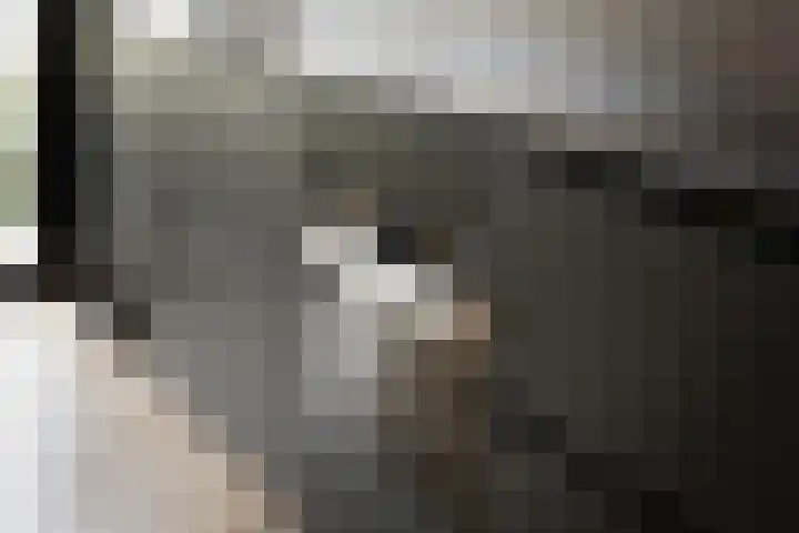Kruitmolen 7 Muiden thumbnail 11