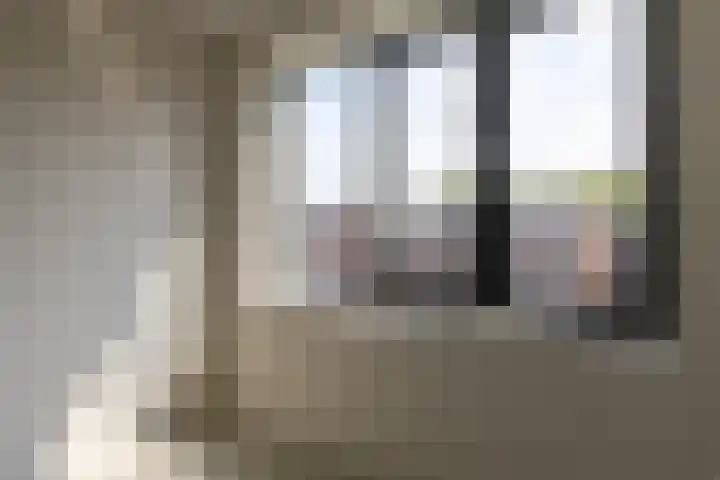 Kruitmolen 7 Muiden thumbnail 15